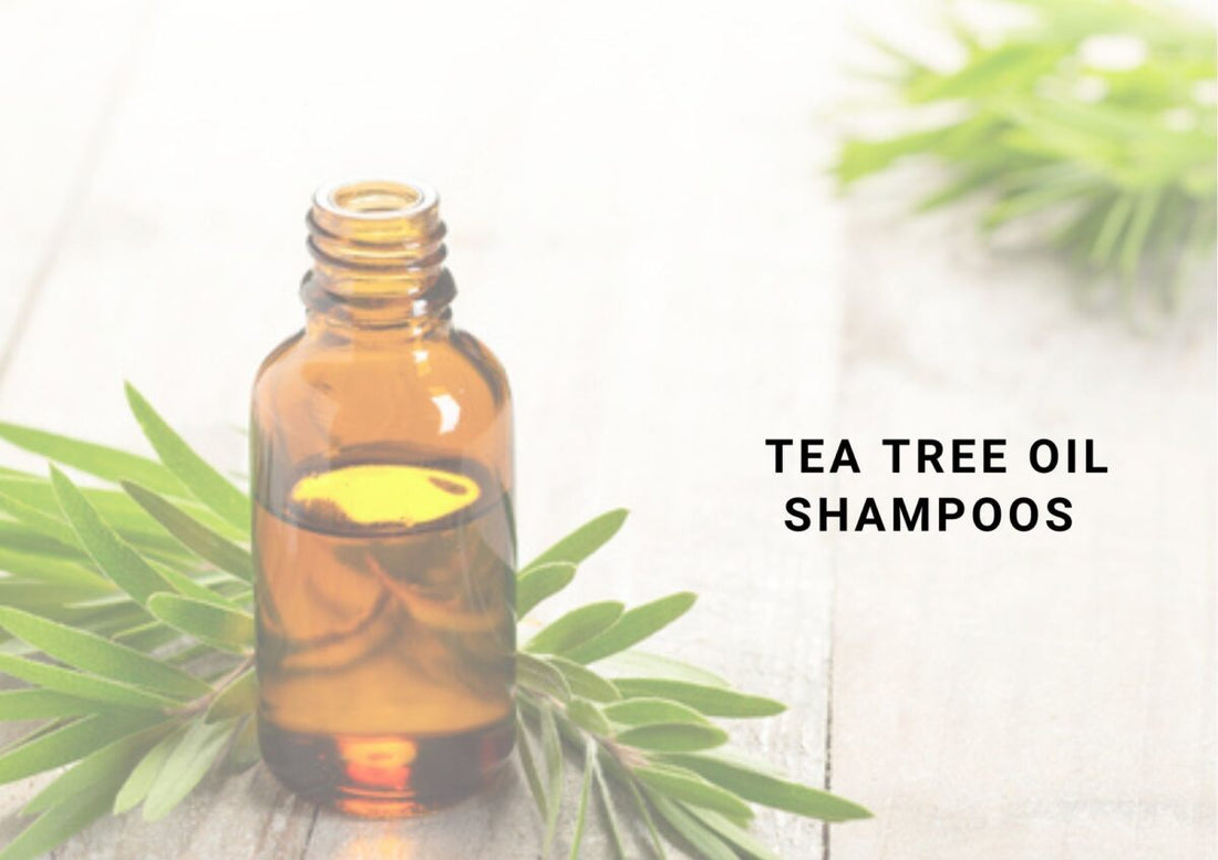 tea tree oil shampoo