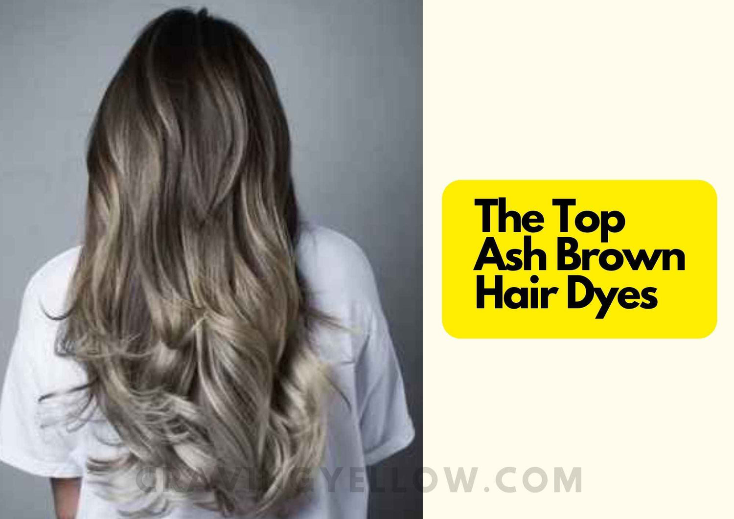 ash-brown-hair-dyes