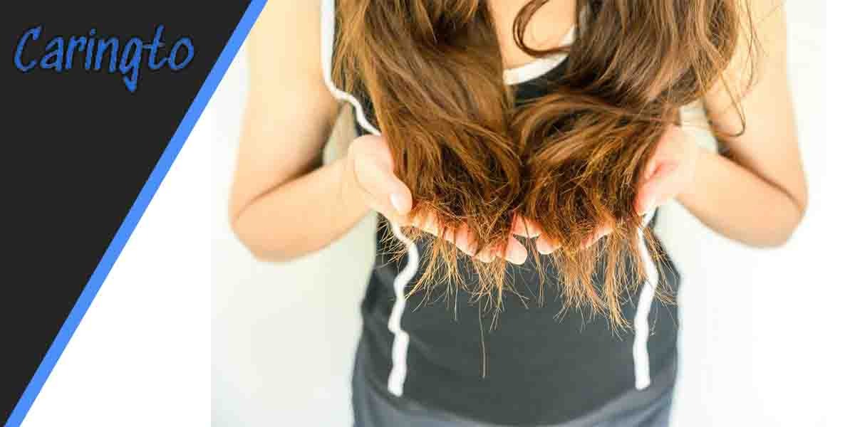 Why Olaplex Made My Hair Dry